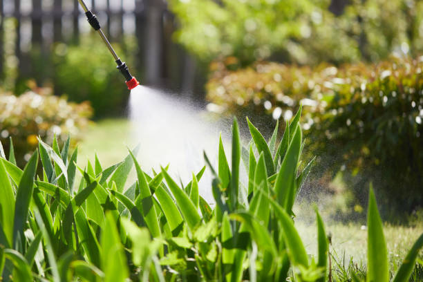 24/7 Emergency Wasp Removal experts in Mitchell, IL