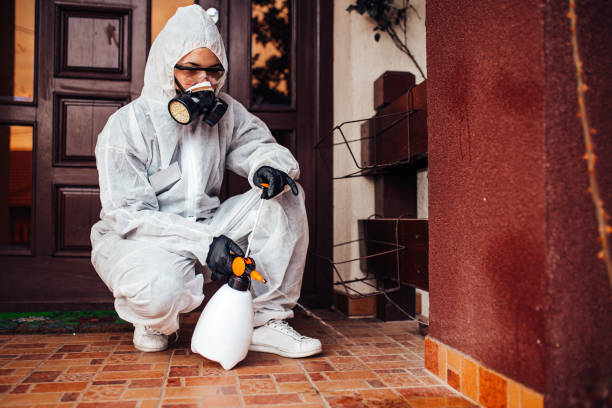 Reliable Wasp Removal contractor in Mitchell, IL by Show Me Pest Control