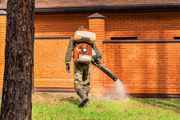 Top rated local Wasp Removal specialists in Mitchell, IL